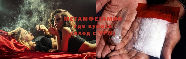 шишки Белокуриха