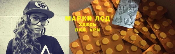шишки Белокуриха