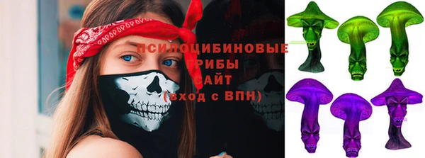 шишки Белокуриха