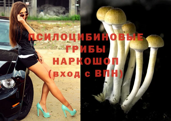 spice Беломорск