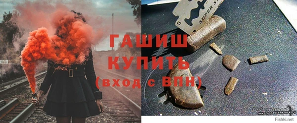 шишки Белокуриха