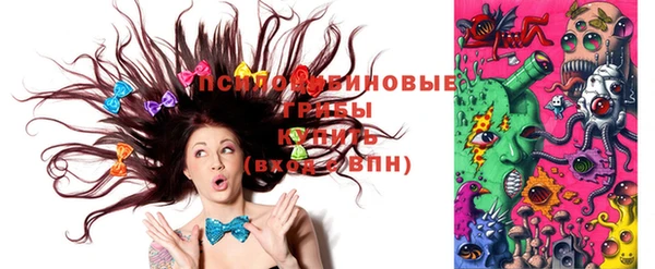 spice Беломорск