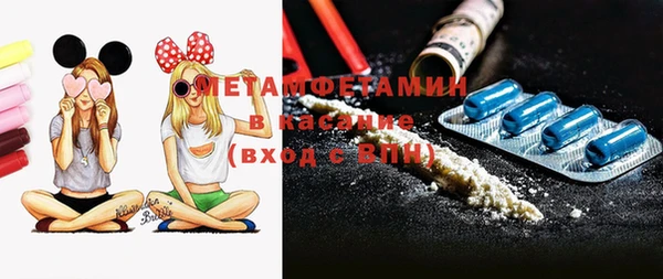 шишки Белокуриха