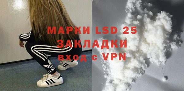 шишки Белокуриха